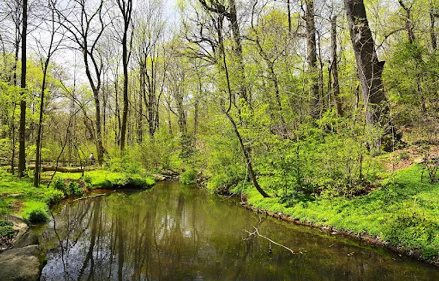 North Woods Loch Double Waterfall
