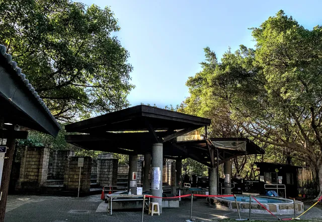 Sulfur Springs Valley feet pool