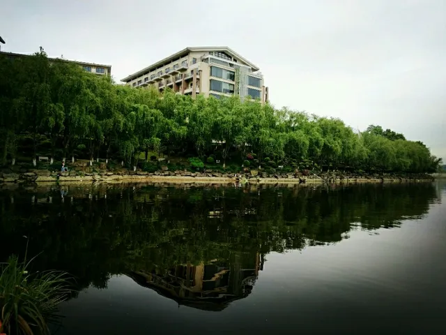 Wonderland Hotel Coffee Shop