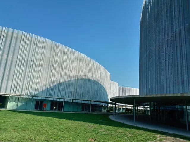 Università Bocconi