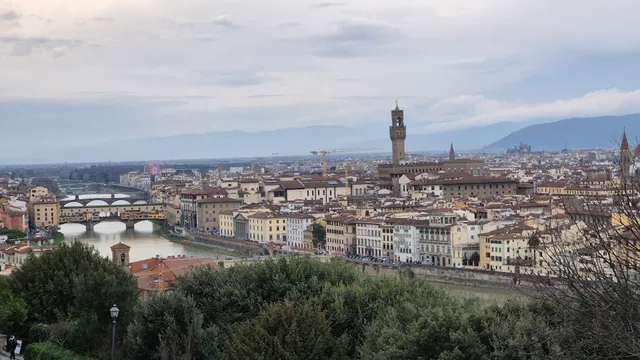 Michelangelo's Suite