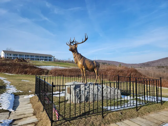 The Elk on the Trail