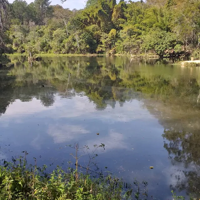 Horto Florestal de Tupi - Piracicaba