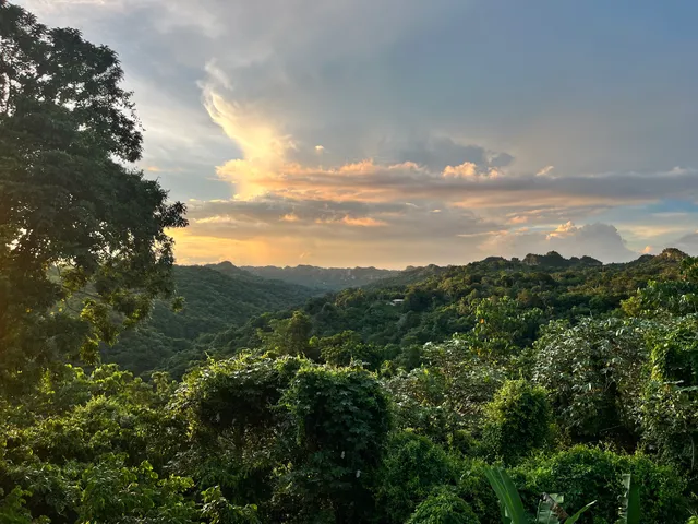 Sumer Farms | Puerto Rico Finca Kurt