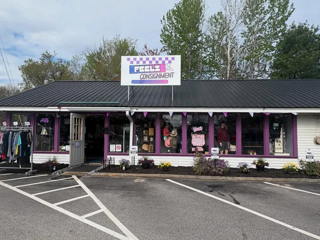 FEELZ Consignment LLC