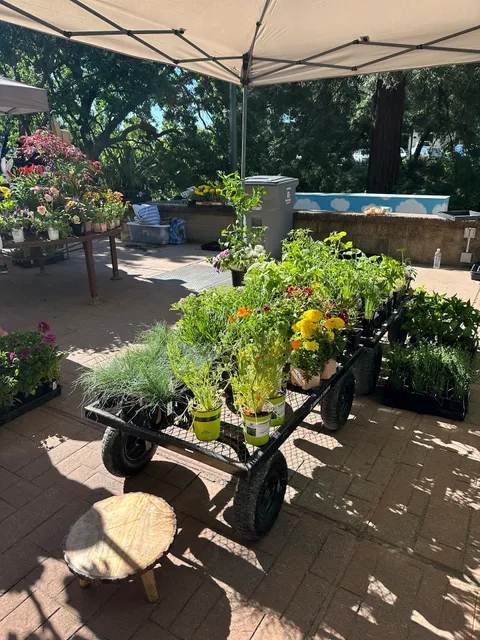 Downtown Vacaville Business Improvement District