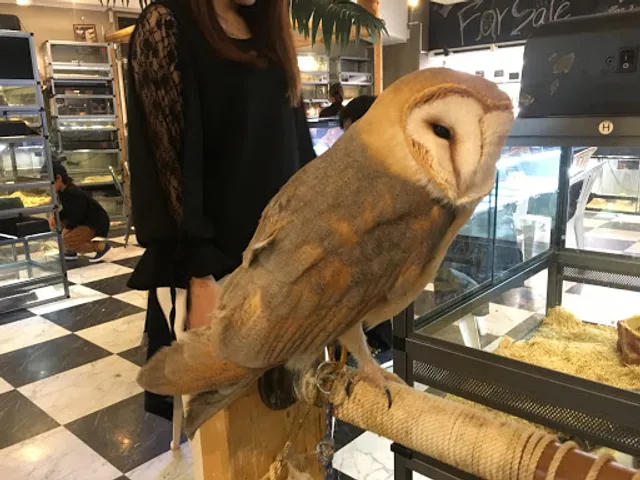 Reptile Cafe Dining Rock Star