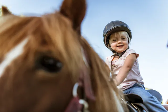 Moierhof - der Ferienbauernhof am Chiemsee