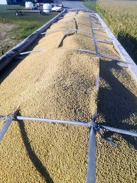 The DeLong Co., Inc.