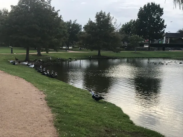 Firethorne Community Lake fishing spot #2