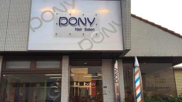 Hair Salon Pony