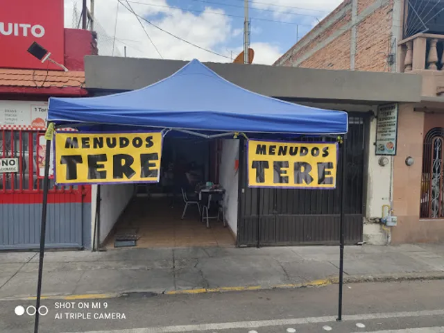 Menudos Tere