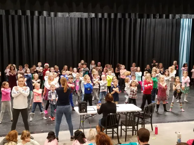 Verona Area Community Theater