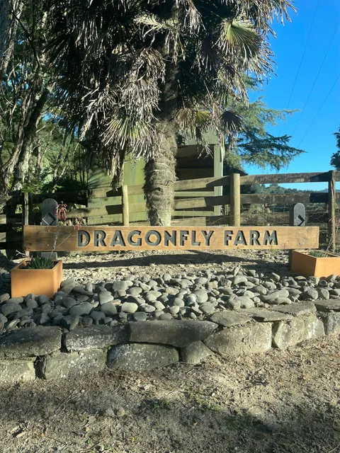 Dragonfly Farm