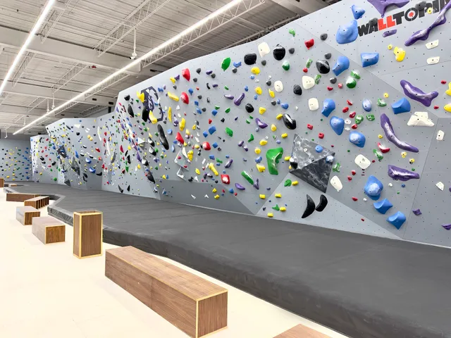 Central Rock Gym