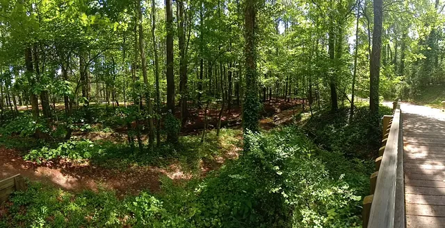 Salt Marsh Park and Tennis Courts