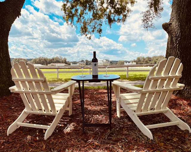 The Bistro at The Grand Oaks Resort