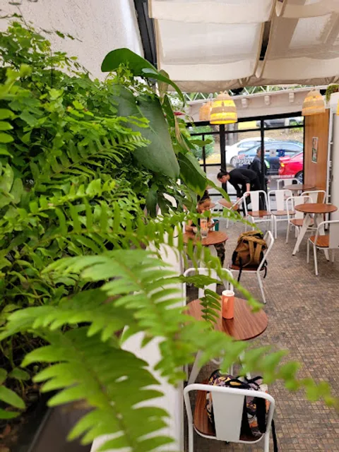 Café Vegetal