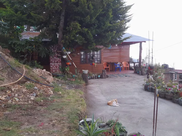 Shalom cottage vatta