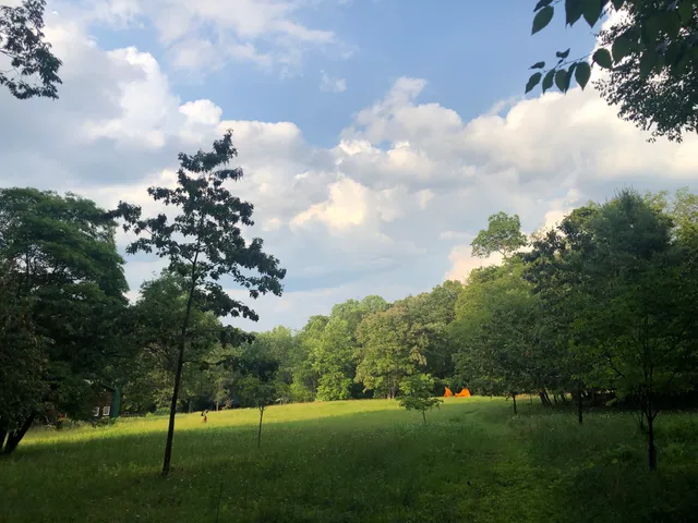 The Bower: Native Plant Landscape and Sculpture Park