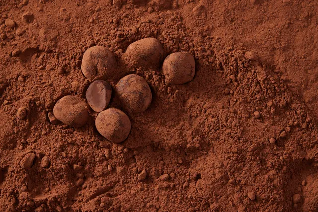 Callebaut Chocolate Academy Chicago