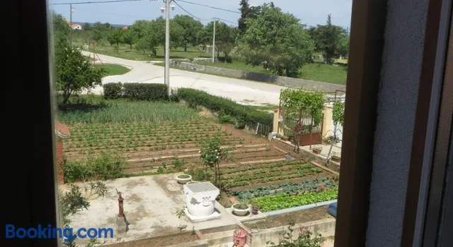 Filipovic Apartments with Pool