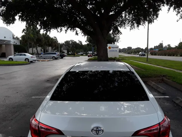 Sunny Bay Mobile Window Tinting