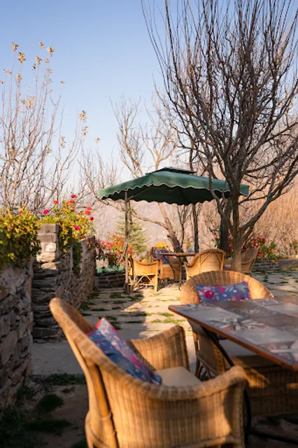 Roots - Cafe In The Orchards