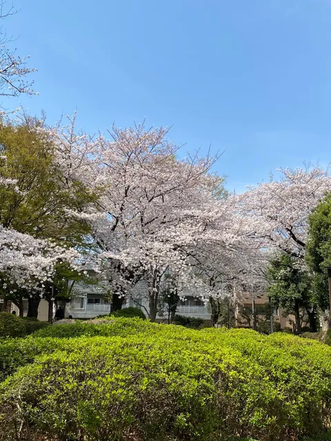 Toshima Kuritsu Ikebukurohoncho Park