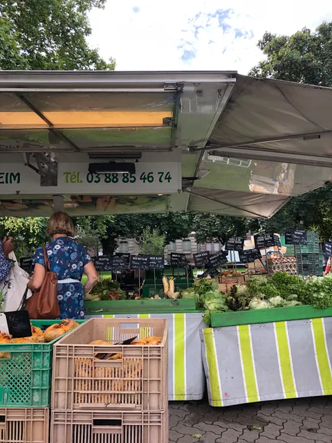 Bordeaux Square Market