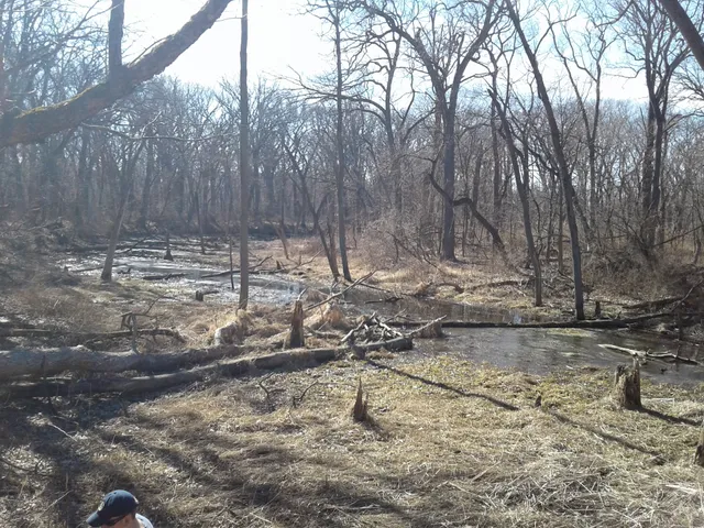 Brownell Woods
