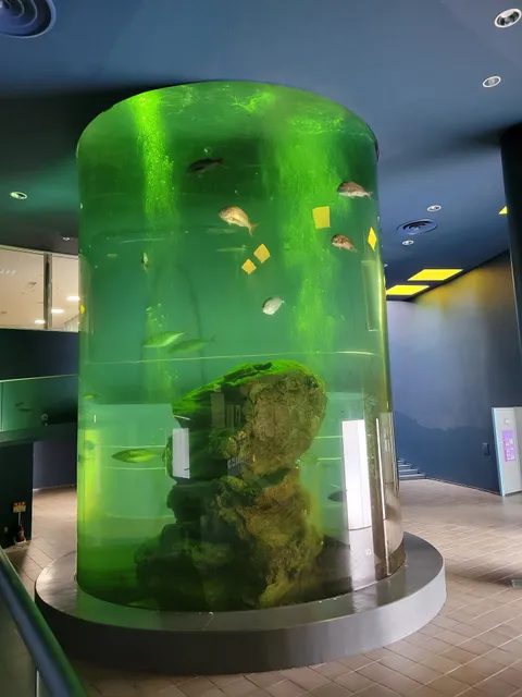 佐世保魚市場(株)