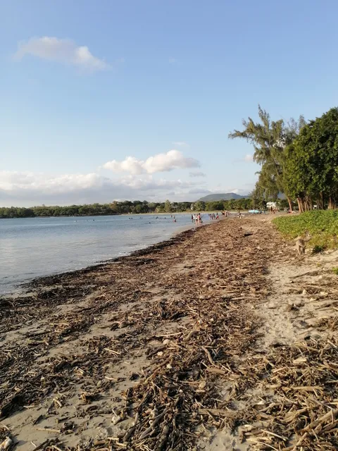 Ticou, Ticou-Big Game fishing, Dolphin swimming, Snorkeling