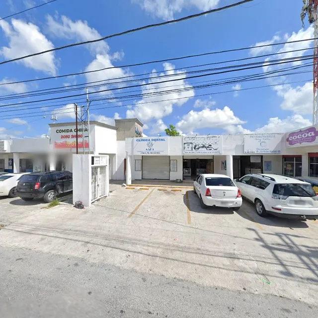 Dong sheng - Comida china