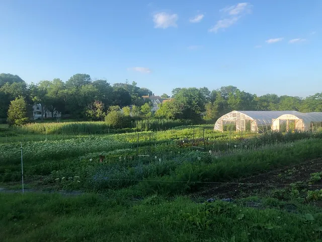 Friends of Holly Hill Farm