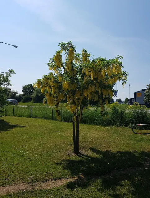 Norrtälje Cemetery Chapel
