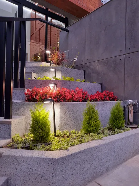 GRIMALDO DEL SOLAR 428