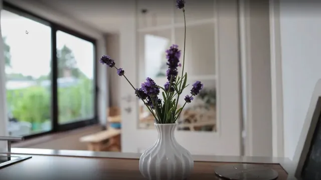 Ferienhaus Hinterm Schilf