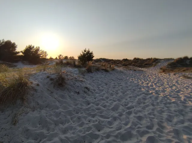 M2 LIVING APPARTEMENTS