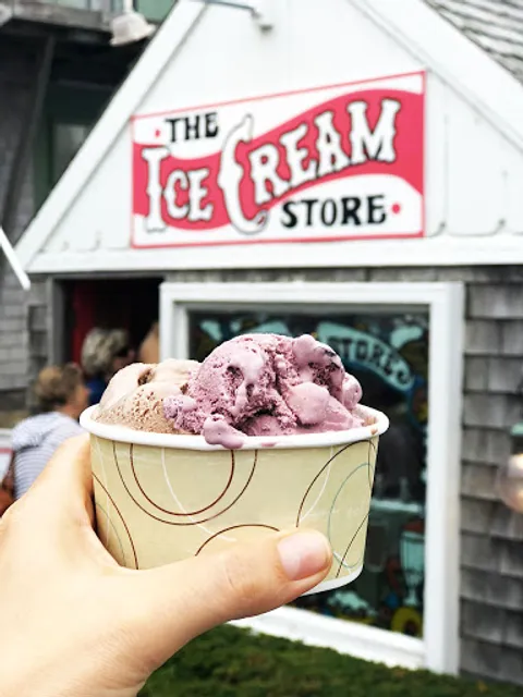 The Ice Cream Store