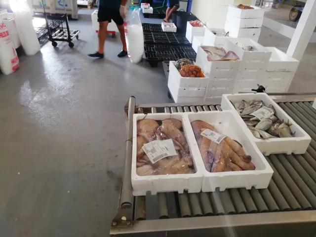 Lonja de Pescadores - Fuengirola