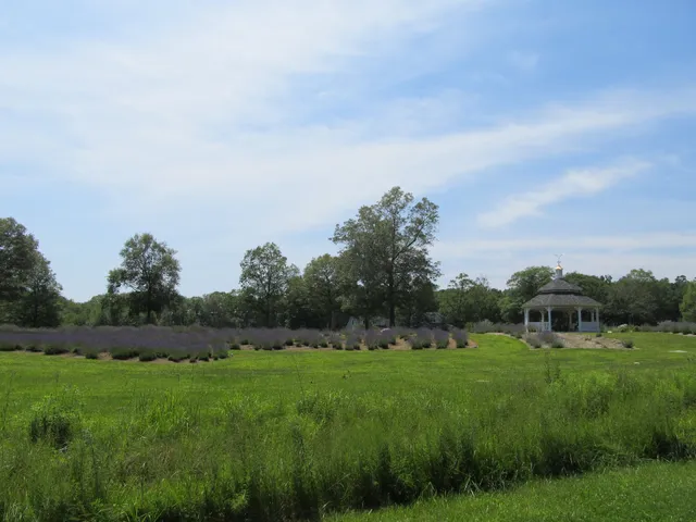 Lavender Pond Farm