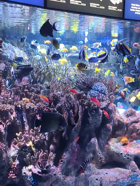acuario miami