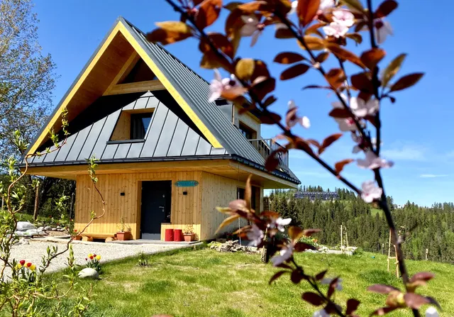 Stacja Wierchowa 972 m - Domek w górach