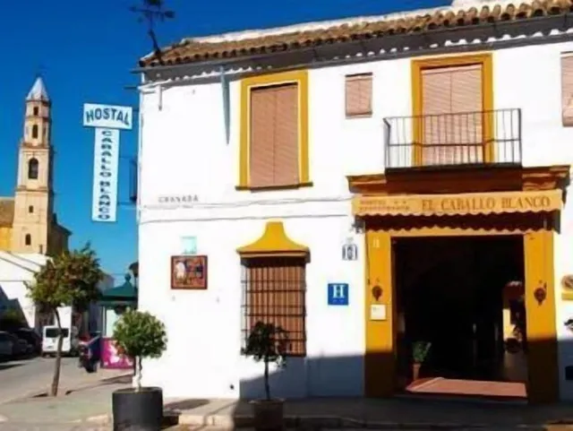 Hostal Caballo Blanco