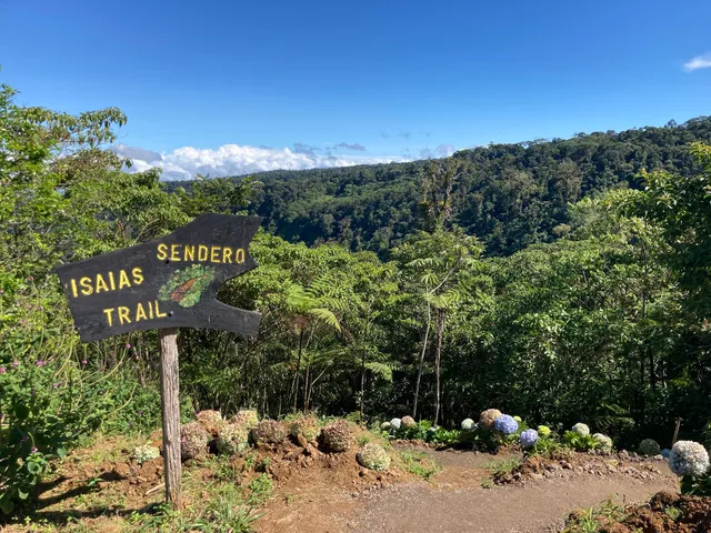 Cinchona Waterfall Trails