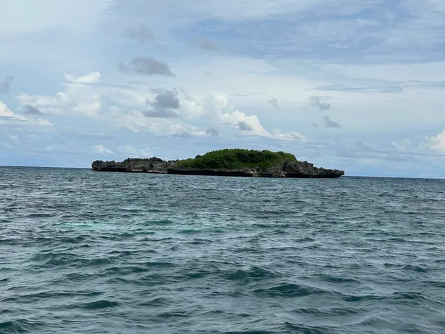 Crocodile Island