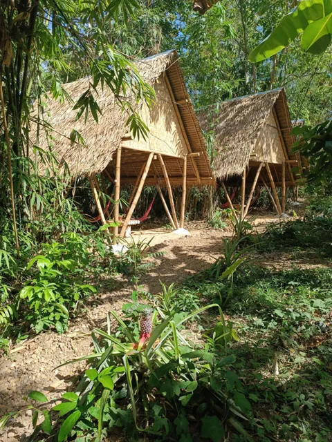 Ecocio jungle hostel