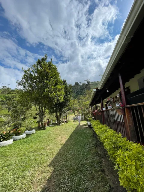 El Abuelo y la Montaña
