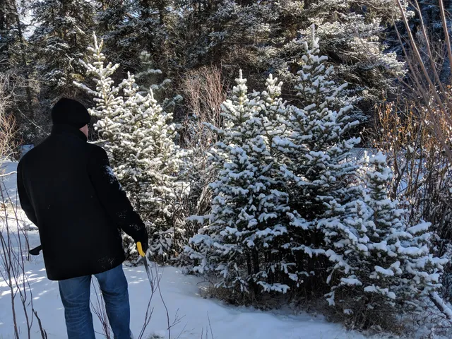 Pikes Peak Ranger District